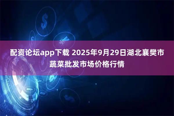 配资论坛app下载 2025年9月29日湖北襄樊市蔬菜批发市场价格行情